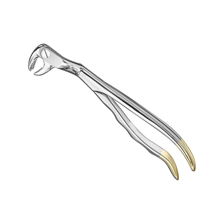 Extracting forceps, anat.